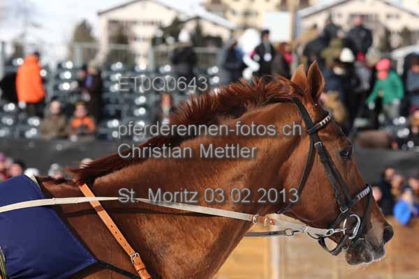 ET0Q0643 prot